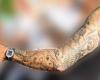 Todos los tatuajes del brazo izquierdo de Tinelli