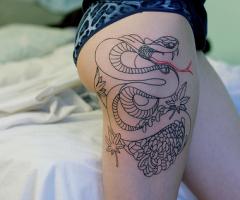 Snake on leg with lines