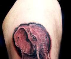 Best Elephant tattoos