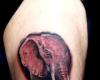 Elefante realista