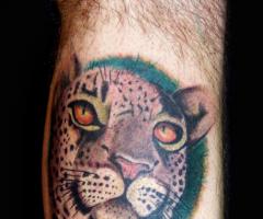 Leopardo