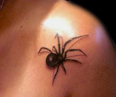 Araña 3D