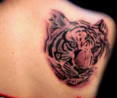 Rostro de tigre en espalda