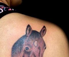Cabeza de Caballo