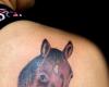 Cabeza de Caballo