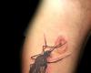 Mosquito