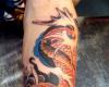 Koi fish
