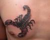 Escorpion en el pecho