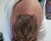Tigre y tribales