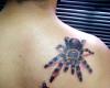 Araña y mosca
