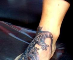 Salamandra
