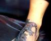 Salamandra