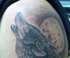 Lobo y luna