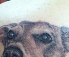 Retrato realista de perro