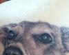 Retrato realista de perro