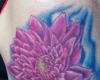Flor colorida