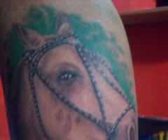 Caballo