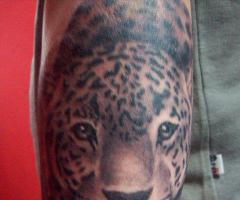Rostro de leopardo