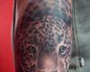Rostro de leopardo