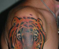 Cabeza de tigre