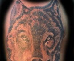 Rostro de lobo con iniciales