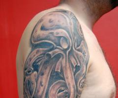 Pulpo con sombras realista