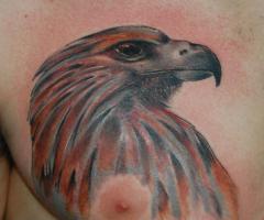 Tatuaje de aguila de perfil