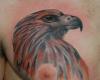 http://www.tattooset.com/images/tattoo/2012/07/04/5772-tatuaje-de-aguila-de-perfil_tiny.jpg