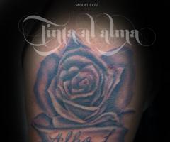 Cover Up