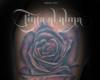 Cover Up
