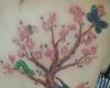 Arbol de cerezo (familia)