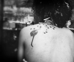 Tatuagem Dente de leão