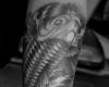 Pez Koi blanco y negro
