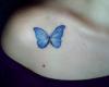 Blue Butterfly