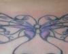 Erluto Art mariposa