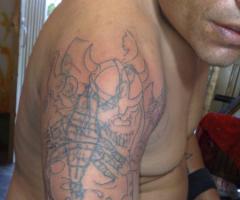 Cover vikingo
