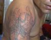 Cover vikingo