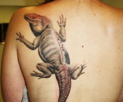 Iguana realista en la espalda