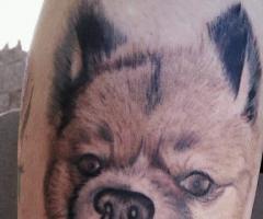 Dog tattoo with name