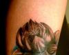 Flores de loto tatuadas