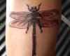 Dragonfly tattoo pictures 2012