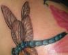 Dragonfly Body Art