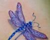 Coulor dragonfly tattoo images