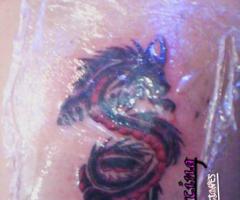 Dragon Rojo y Negro espalda -  Finalizado