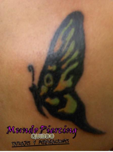 Mariposa Negro, Verde y Amarillo espalda