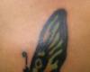 Mariposa Negro, Verde y Amarillo espalda