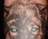 Rostro de lobo feroz
