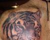 Tigre en la espalda
