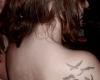 Birds tattoos designs tumblr