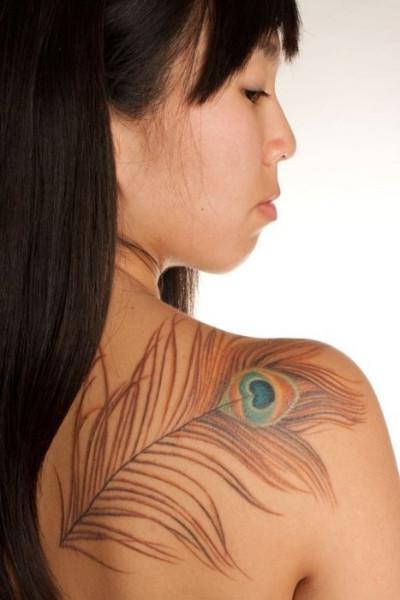 Peacock on the shoulder